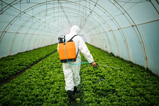 Best Pest Prevention Services  in Newport, AR