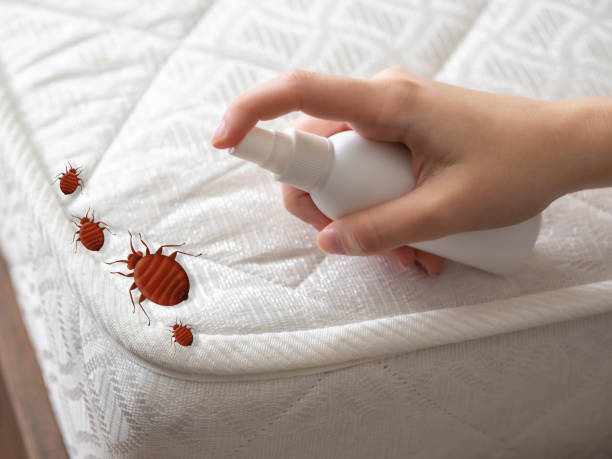 Best Flea Control Services  in Newport, AR