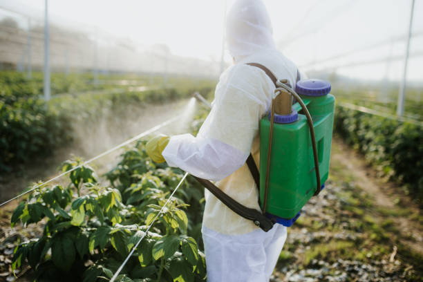 Best Flea Control Services  in Newport, AR